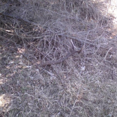 Konečne sa podarilo