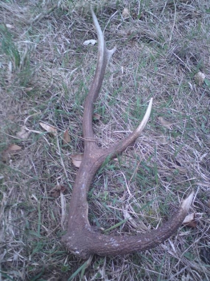 Kamarátov dneskajší