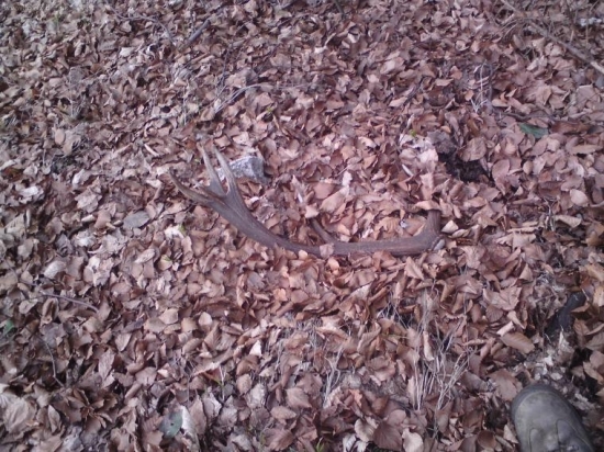 Stalo to za tu námahu 14-torak