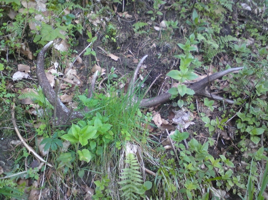 Ešte stále sa to dá