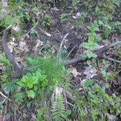 Ešte stále sa to dá