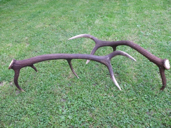 Konečne sú spolu..