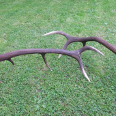 Konečne sú spolu..