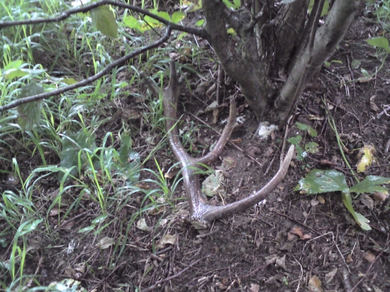 V upršanom počasí sa  zadarilo