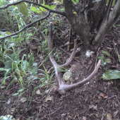 V upršanom počasí sa  zadarilo