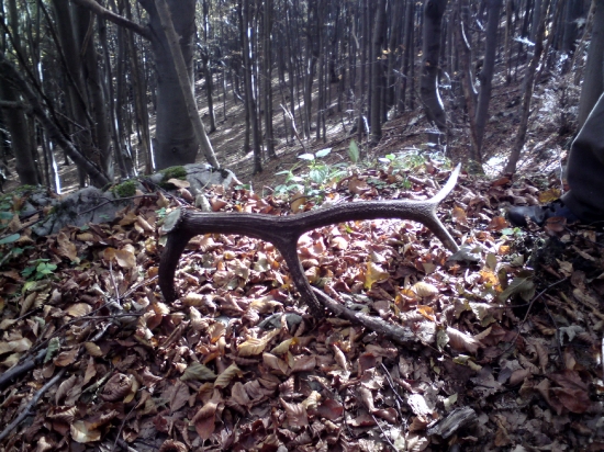 Takto tam čakal rok škoda že nie na mňa :(