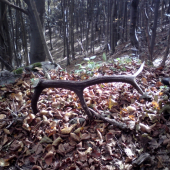 Takto tam čakal rok škoda že nie na mňa :(