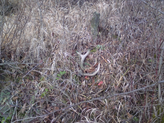 Takto ma dneska čakal v rúbani