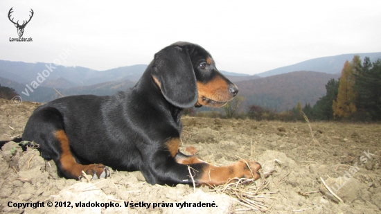 zoznamovanie sa s revírom