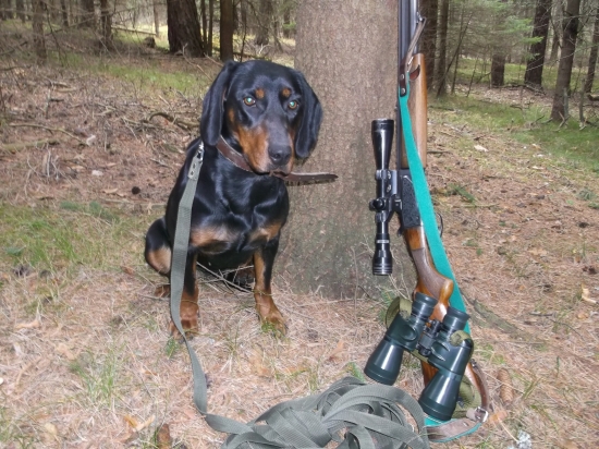 TAŠA spod Kunovej PF ll.c FD l.c SD l.c