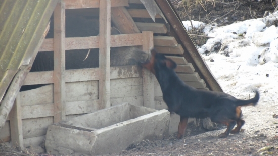 Úspešná skúška odvahy -Taša spod Kunovej