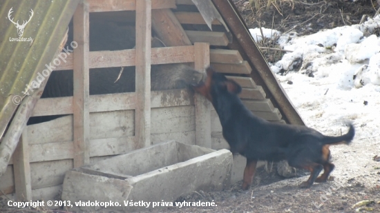 Úspešná skúška odvahy -Taša spod Kunovej