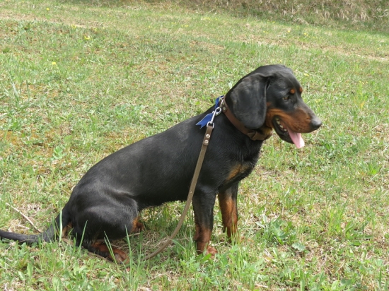 Taša spod Kunovej -20 mesiacov