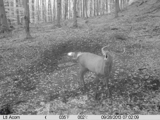 Rozlúčka s rujou 2013