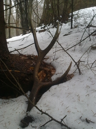 dnešná prechádzka