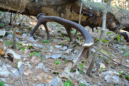 pri chvíľke oddychu