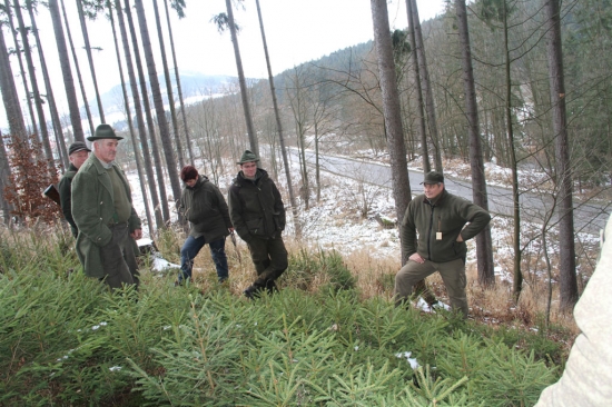 Memoriál Alojza Rišku 2013