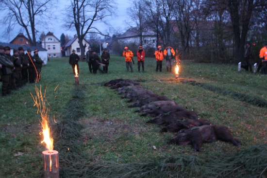 Memoriál Andreja Renča 2014 Hybe