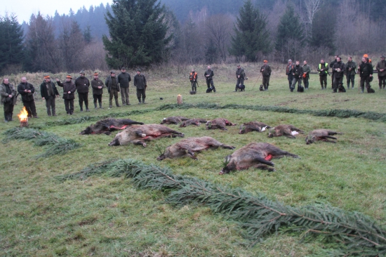 Memoriála Alojza Rišku 2014