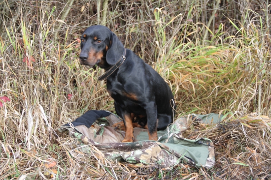 Memoriál Andreja Renču