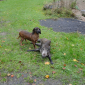 Dnešní vydařené ráno