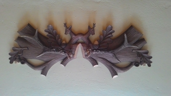 Moja prvá srnčia pára