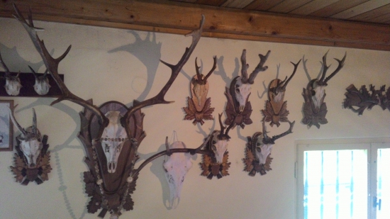 Jedna trofej, jeden príbeh