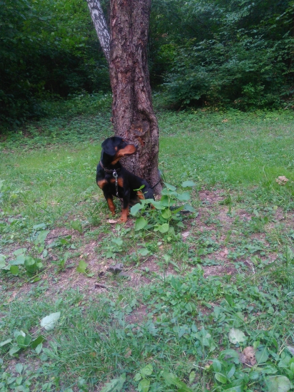 s Normou na prechadzke