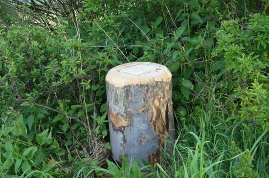 Nové solisko