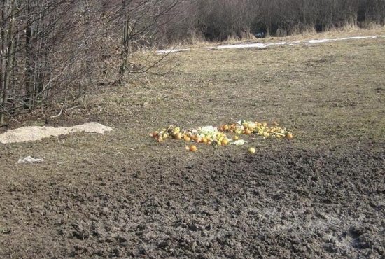 prikrmovanie ovocím