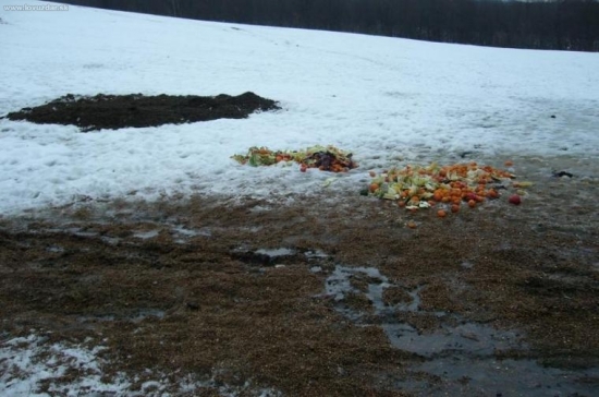 prikrmené , už len čakať na zhody...