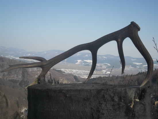 takto som zacal sezonu prvym cerstvym