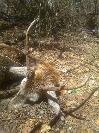 škoda že nie o 12 rokov neskor