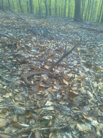 tymto som ukoncil sezonu č.17