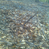 tymto som ukoncil sezonu č.17