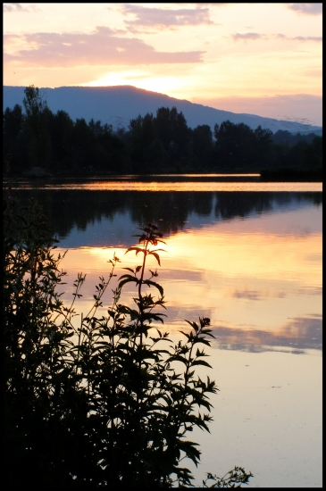 navečer