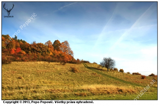 ..pod stráňou