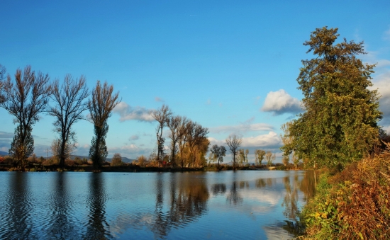 rozčechraná hladina