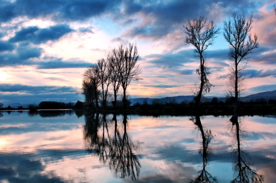 sychravý  novembrový podvečer