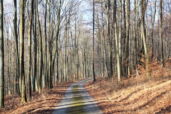 strážovským pohorím