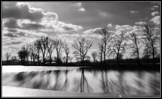 ,,topolová ,,armáda...