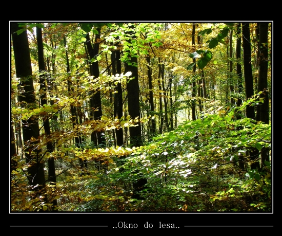 ..za spevu vtáctva..