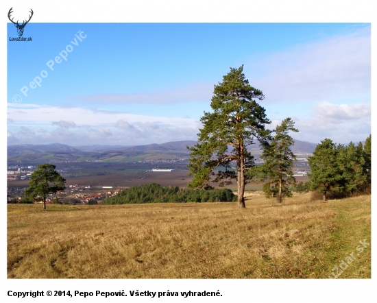 výhľad na Karpaty