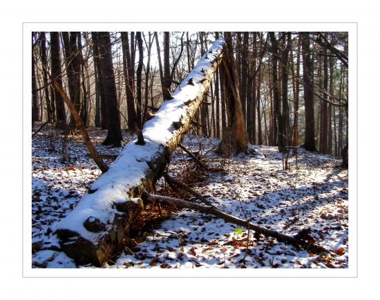 ..po nápore vetra,,