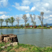 Aprílova