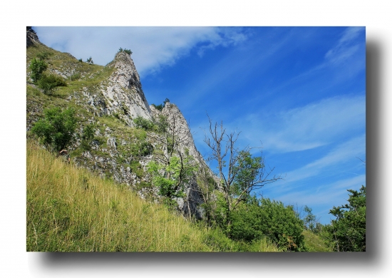 Biele karpaty