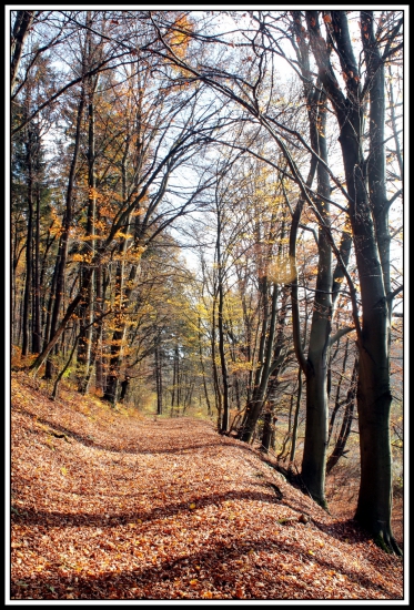 jesenná