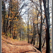 jesenná