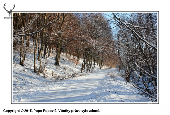 Na rannej obchôdzke