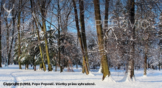 vyšlapaným chodníčkom